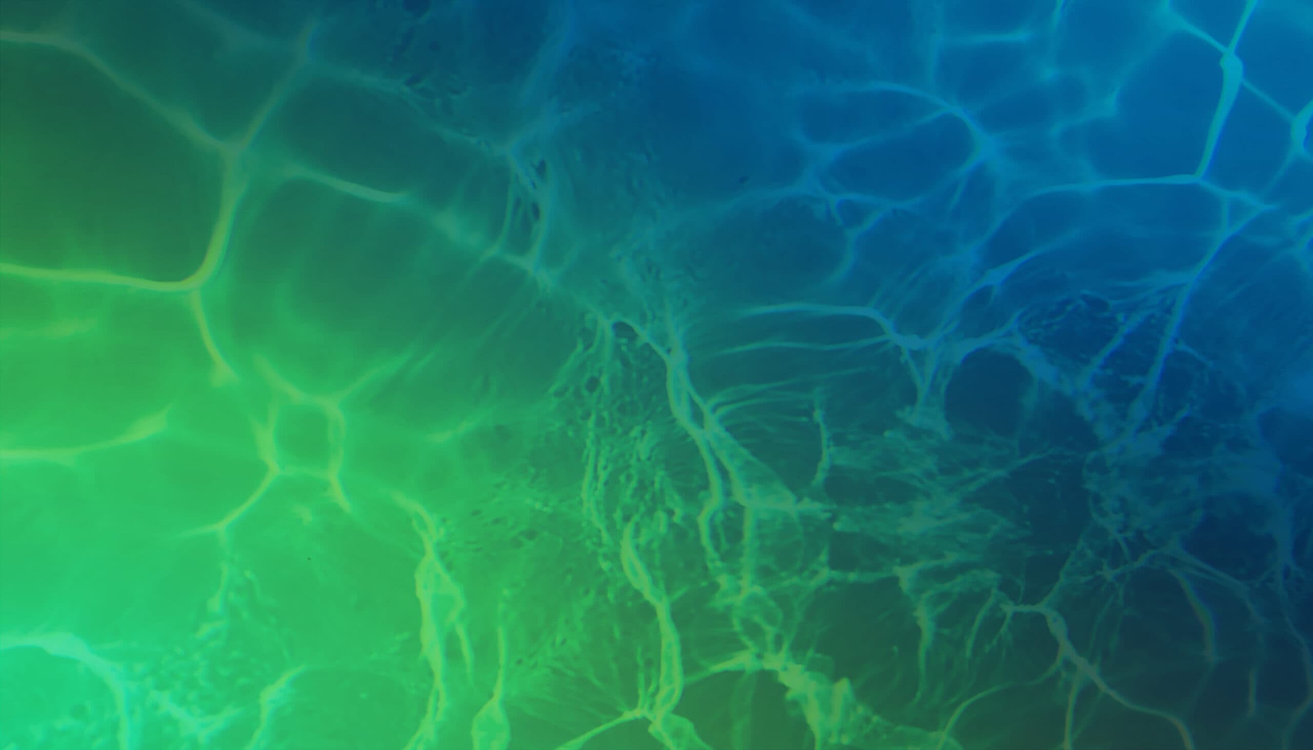 Computrol team and facility